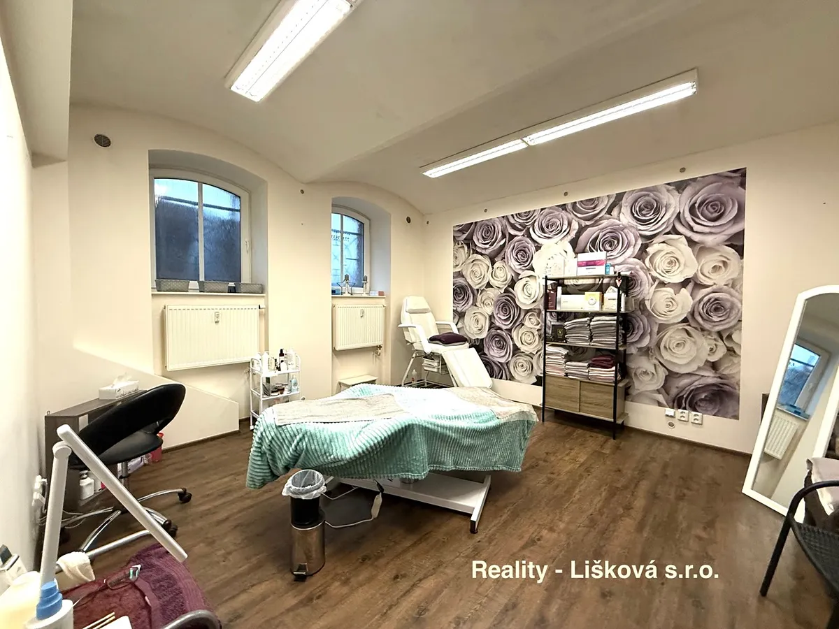 Pronájem komerční nemovitosti 50 m²